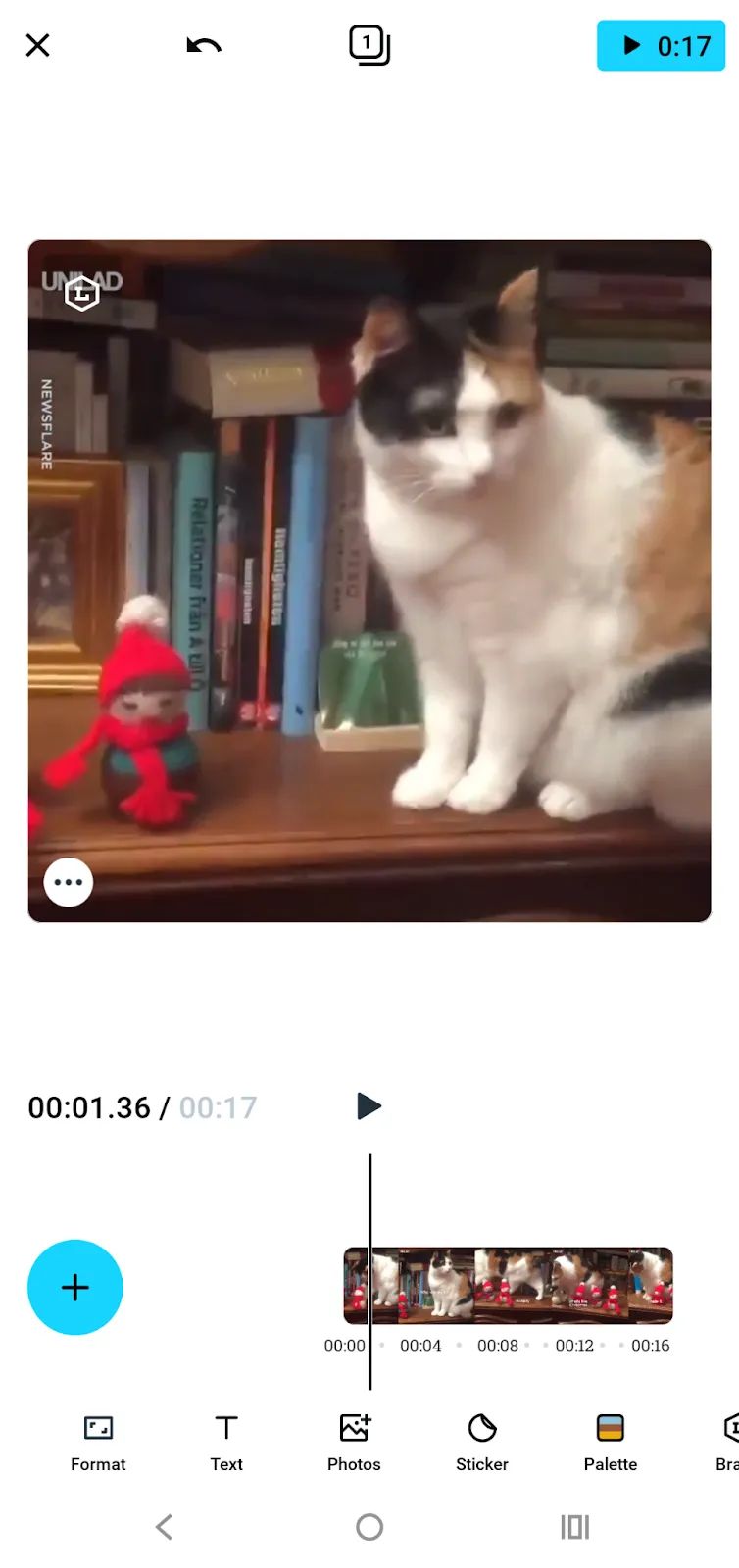A cat video opened in the Vimeo editor.