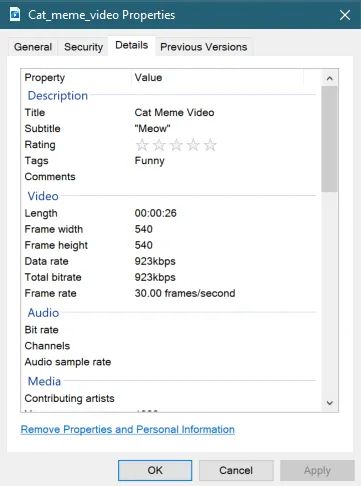 A screenshot of the “Details” page about a cat meme video.