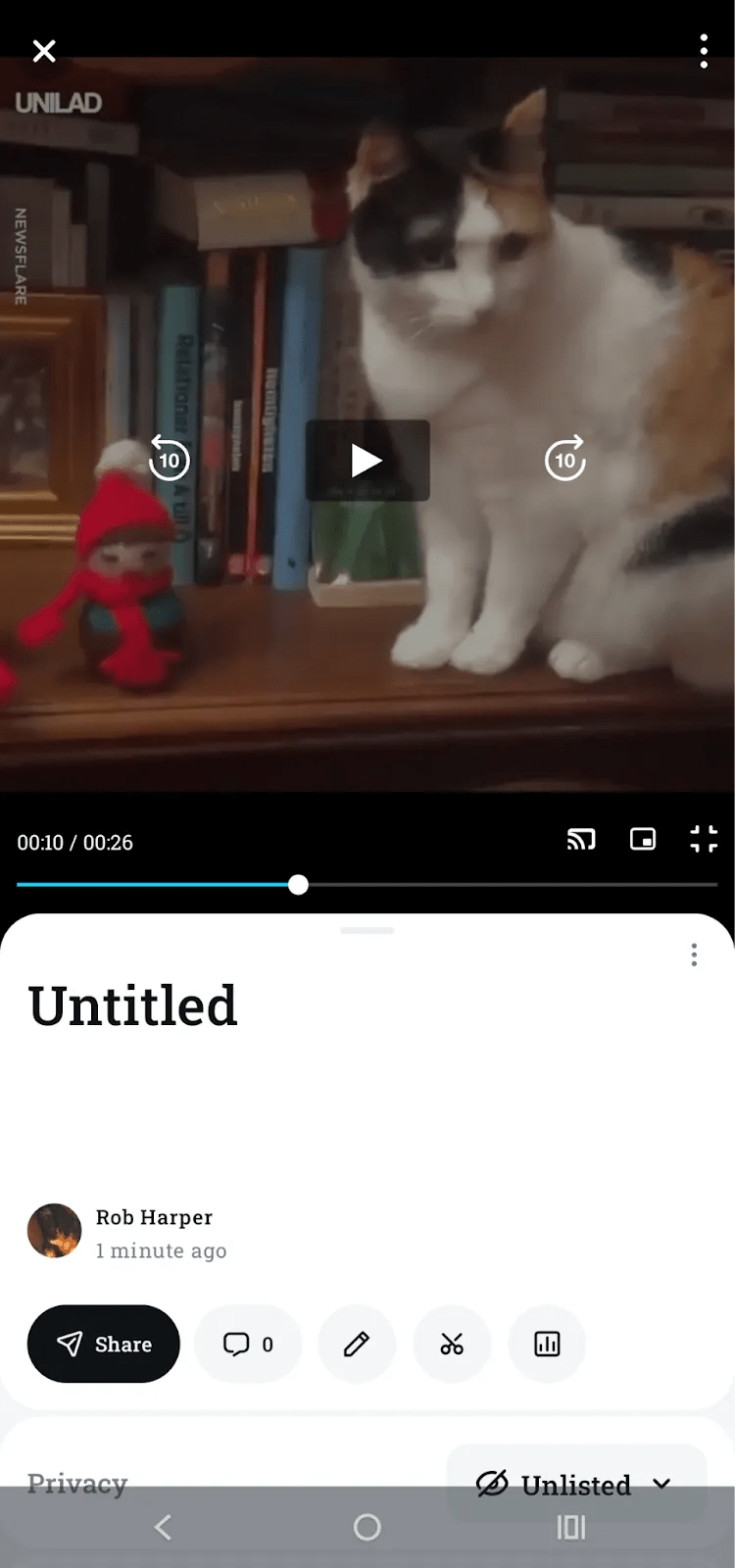 A cat video opened in the Vimeo Library.