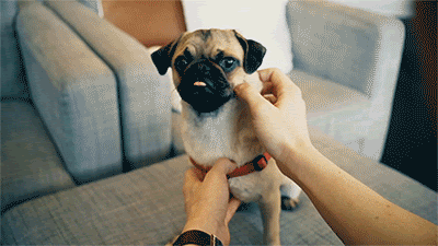 Some alt text for this image